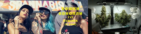 шишки Протвино