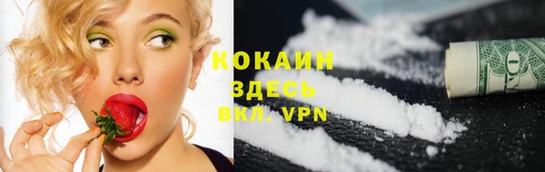шишки Протвино