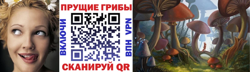 Галлюциногенные грибы MAGIC MUSHROOMS  сайты даркнета как зайти  Белая Калитва  hydra зеркало 